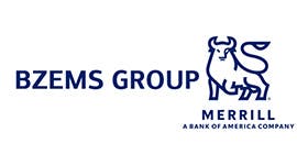 Merrill Lynch BZEMS Group